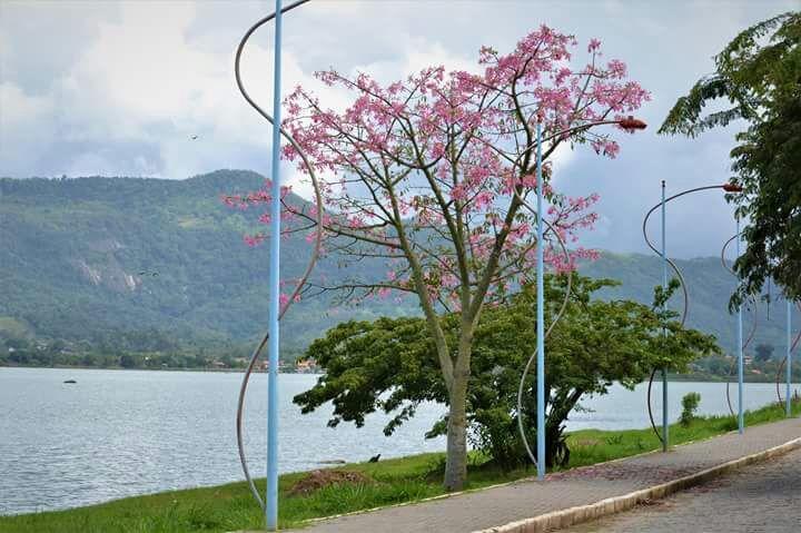 Pousada Castelinho Marica Bagian luar foto